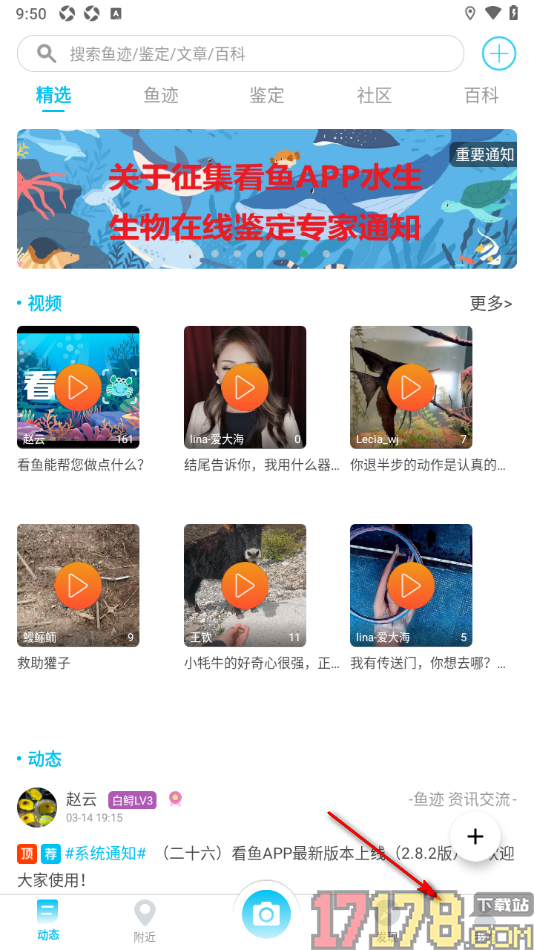 看鱼手机版设置不允许接收私信消息推送通知的方法