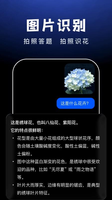 AI Agent助手appv1.1.0截图3