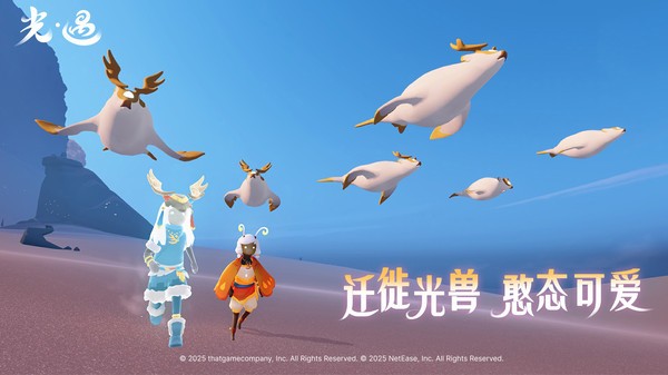 光遇网易版v0.15.6截图4