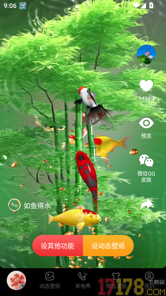 桌面锦鲤壁纸官方版