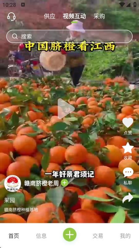 成交官客户端v1.0.0截图5