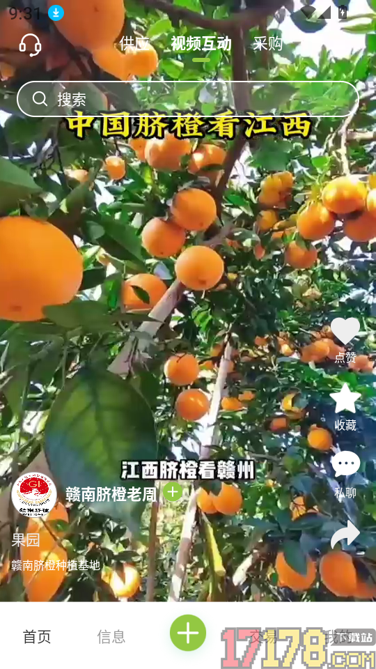 成交官客户端