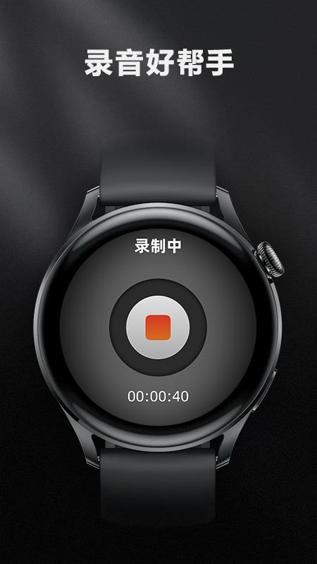 录音笔记本手机版v1.01截图2