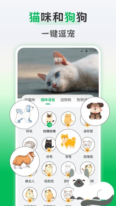 鸟语交流器最新版