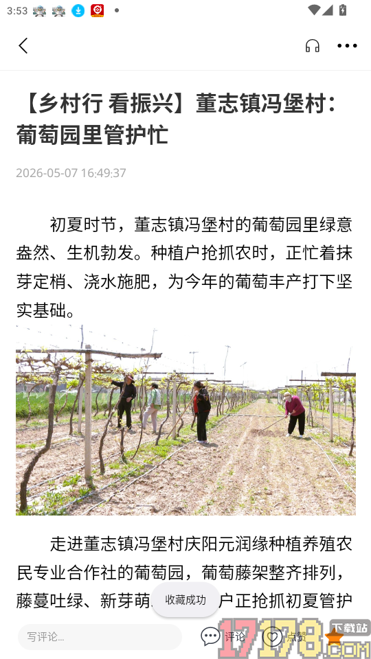 新西峰官网版