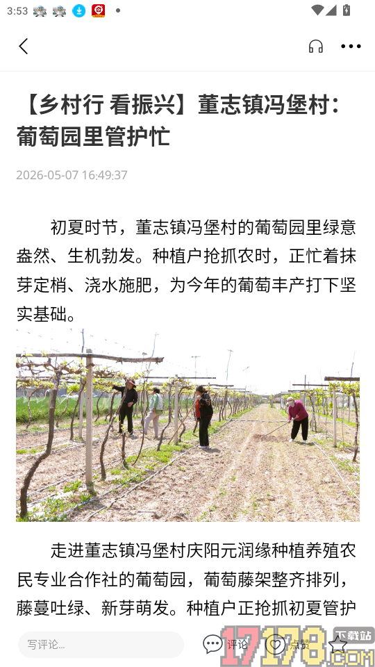 新西峰官网版