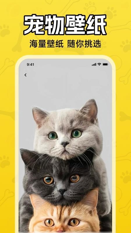 人猫狗翻译器官方版v1.0.0截图4