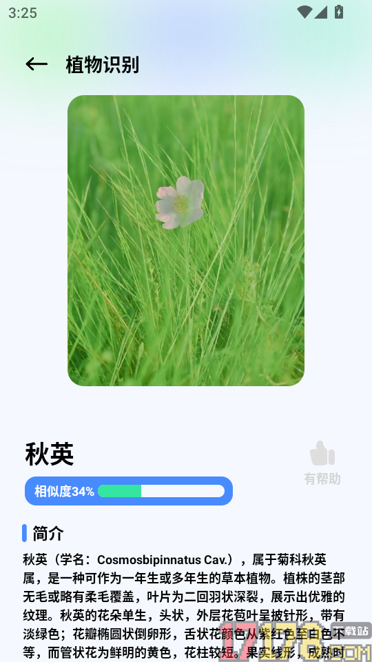 拍照识植物手机版
