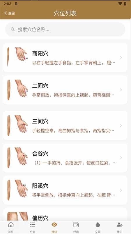 穴位图谱大全官方版v1.0.7截图2