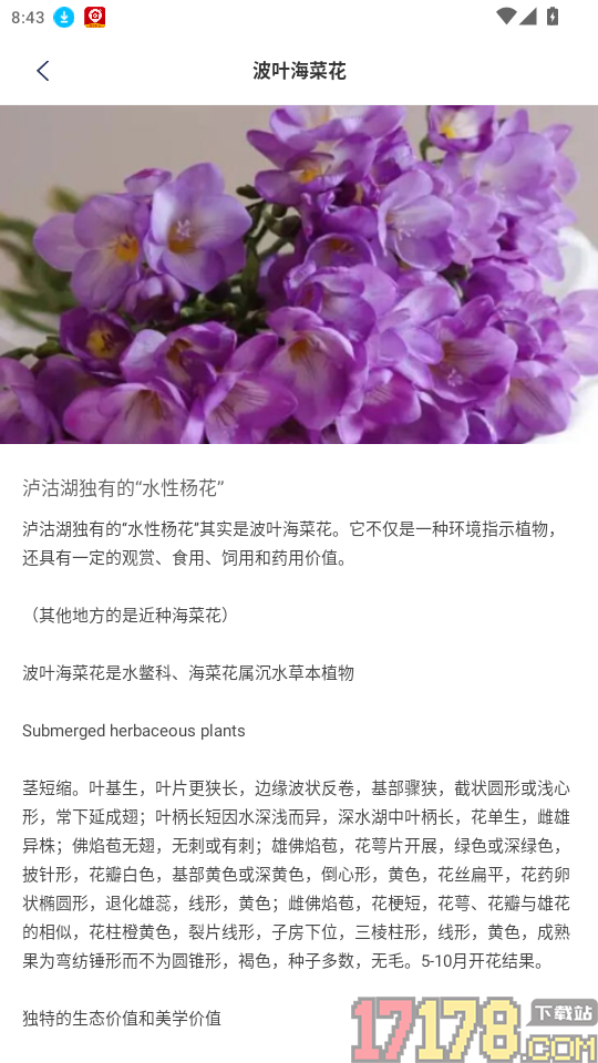 AI拍照识物官网版
