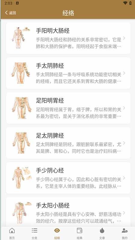 穴位图谱大全官方版v1.0.7截图3