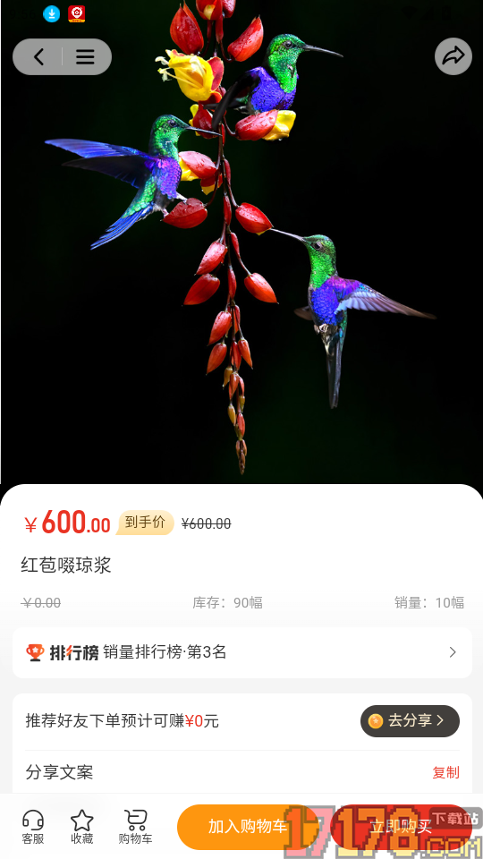 万鸟羽泽官方版本