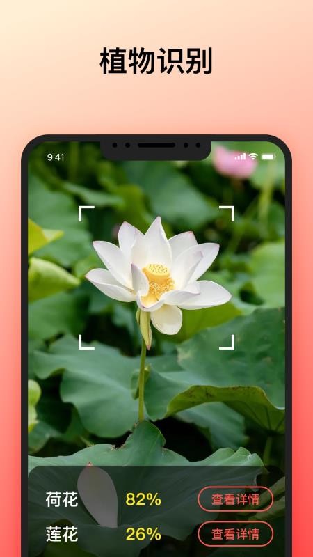 智能识别大师手机版v1.0.9截图2