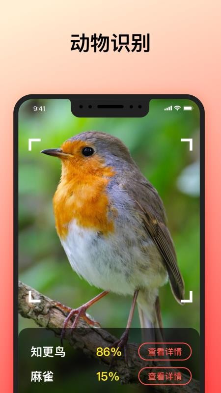 智能识别大师手机版v1.0.9截图5