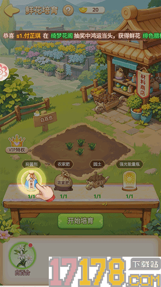 我的花园世界游戏