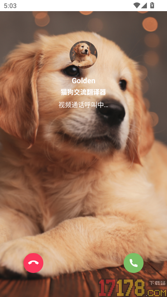 猫狗交流翻译器最新版