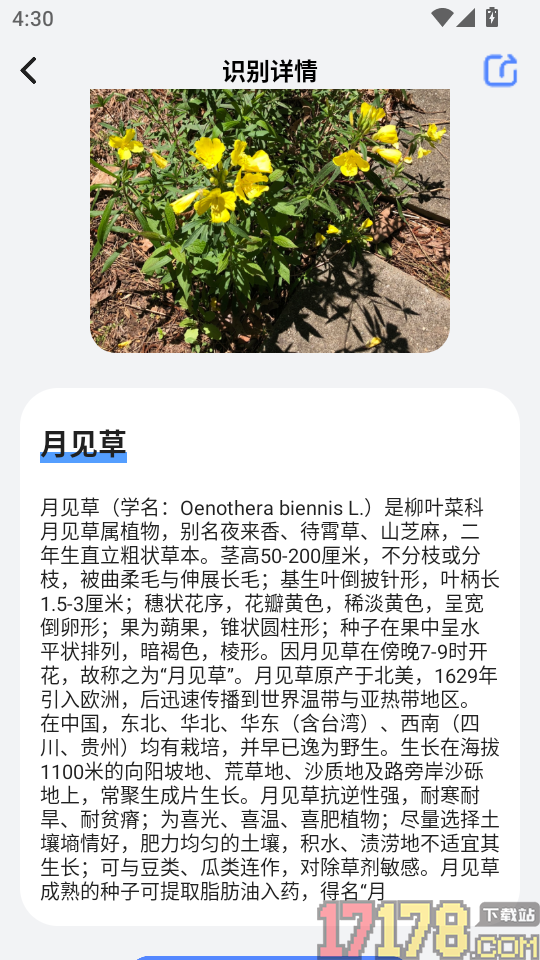 扫描件图片手机版