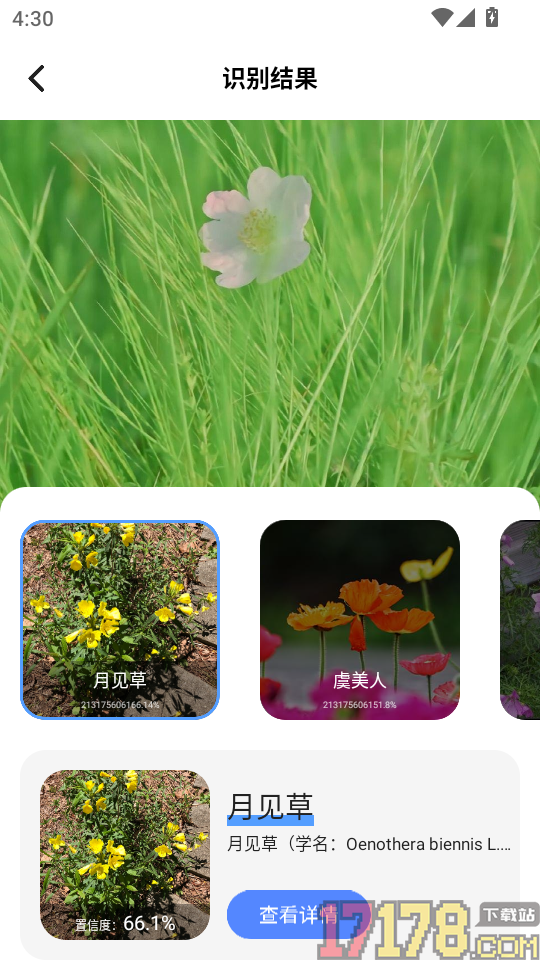 扫描件图片手机版