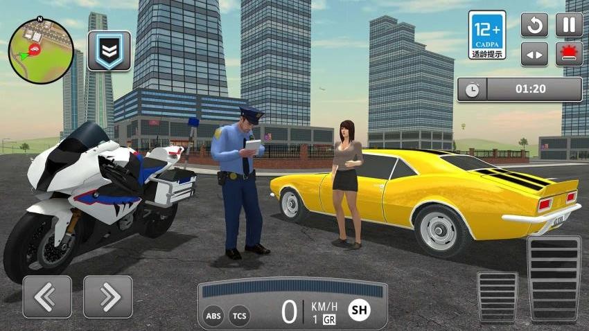 警官执勤中游戏v1.0.0截图1