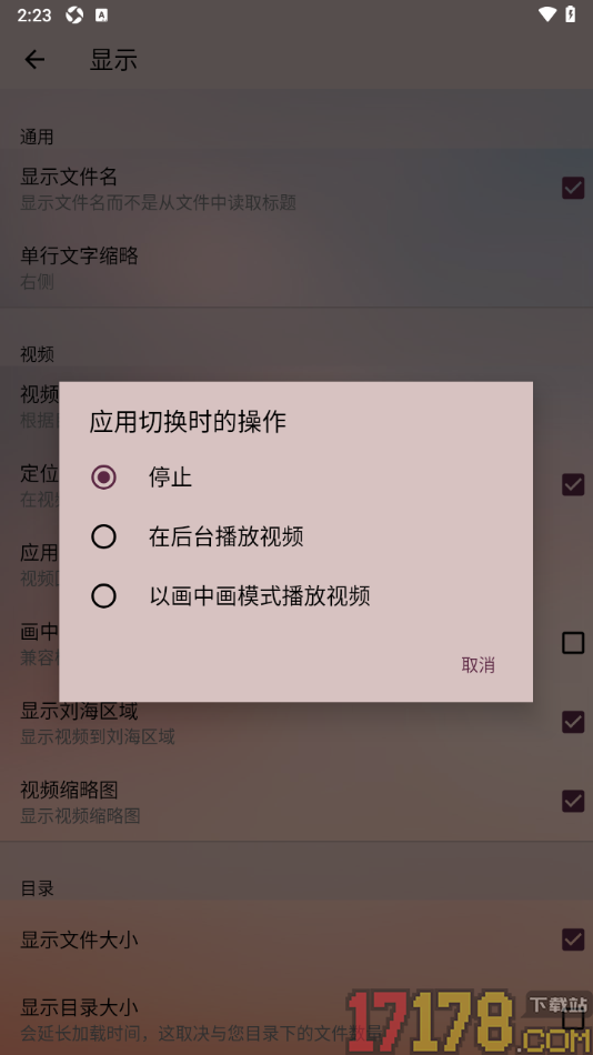 播放器OPlayer手机版设置当应用切换时以画中画播放的方法