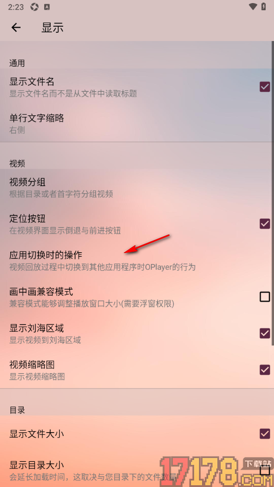播放器OPlayer手机版设置当应用切换时以画中画播放的方法