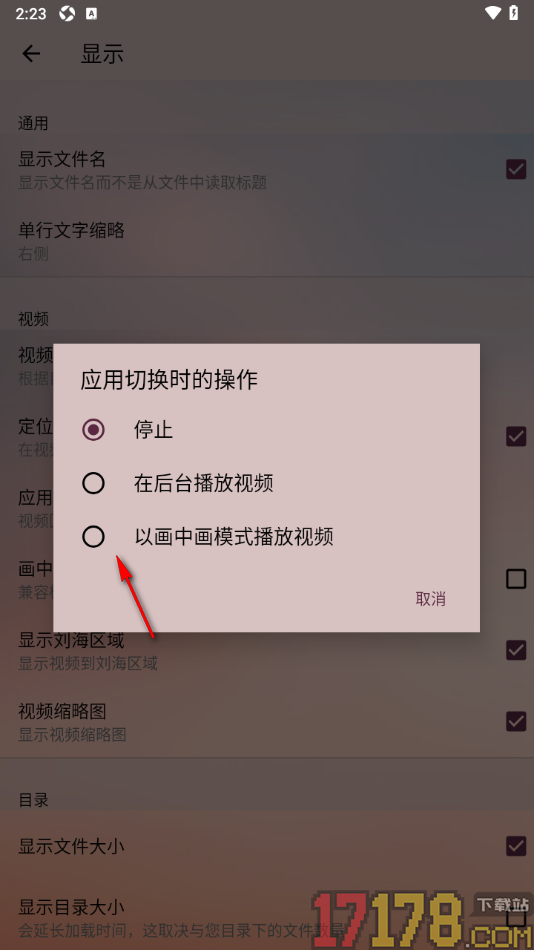 播放器OPlayer手机版设置当应用切换时以画中画播放的方法
