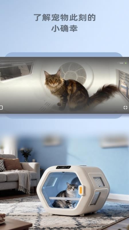WisdomTail最新版v1.1.4截图1