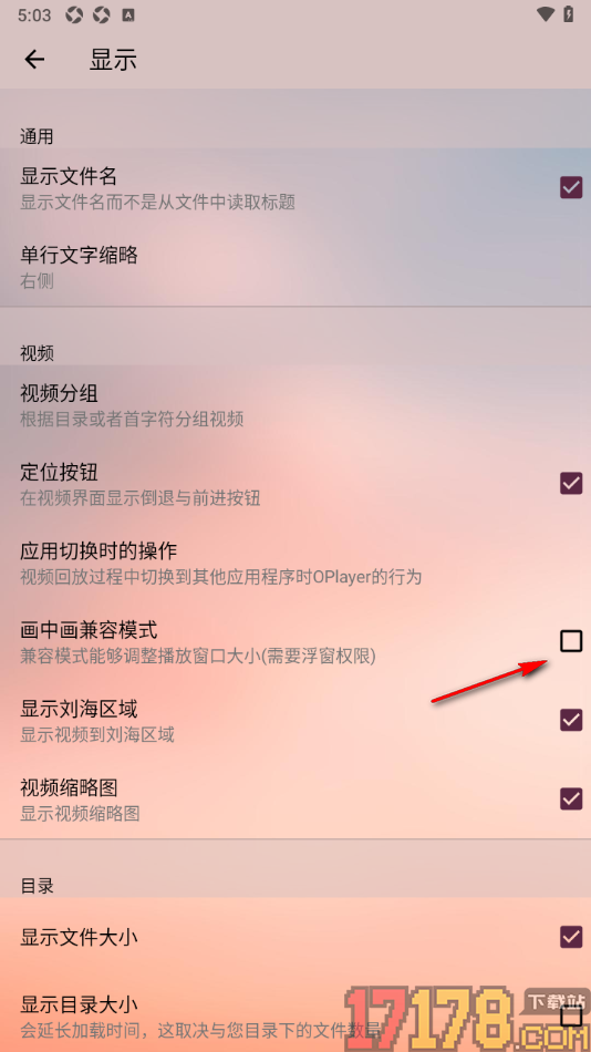 播放器OPlayer手机版设置开启画中画兼容模式功能的方法