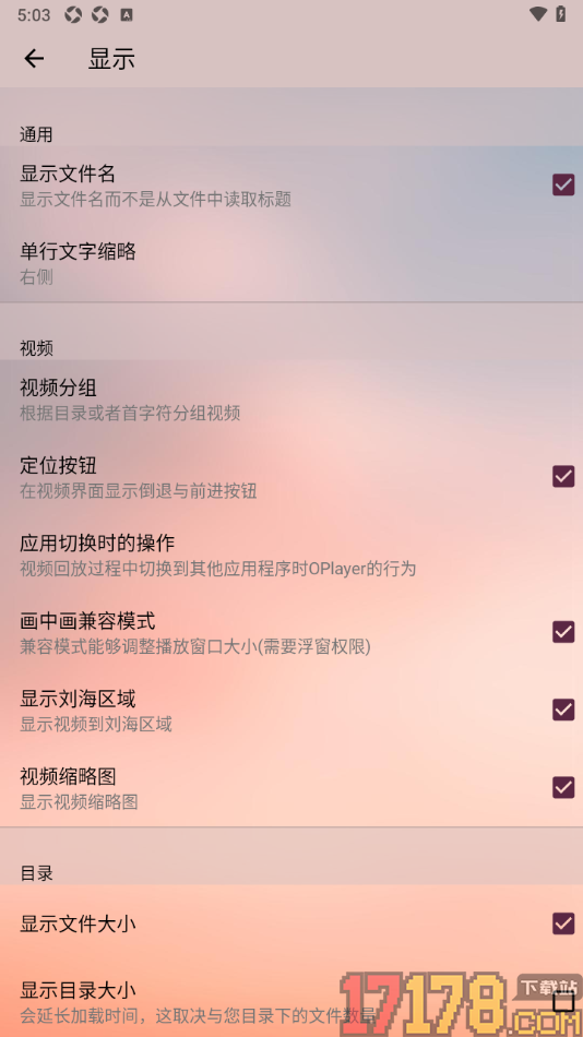 播放器OPlayer手机版设置开启画中画兼容模式功能的方法