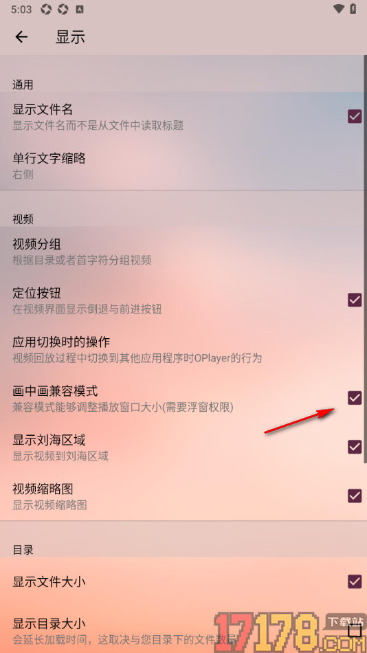 播放器OPlayer手机版设置开启画中画兼容模式功能的方法