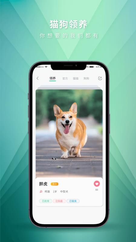 麦道最新版v2.7.0截图4