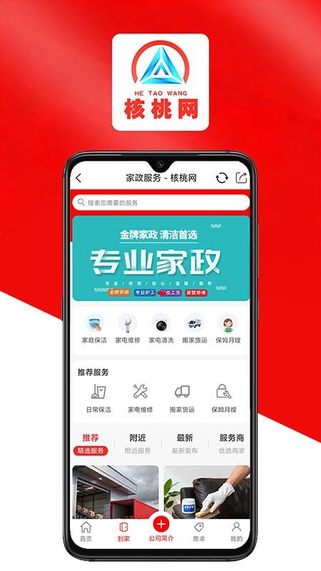 核桃网手机版v1.0截图2