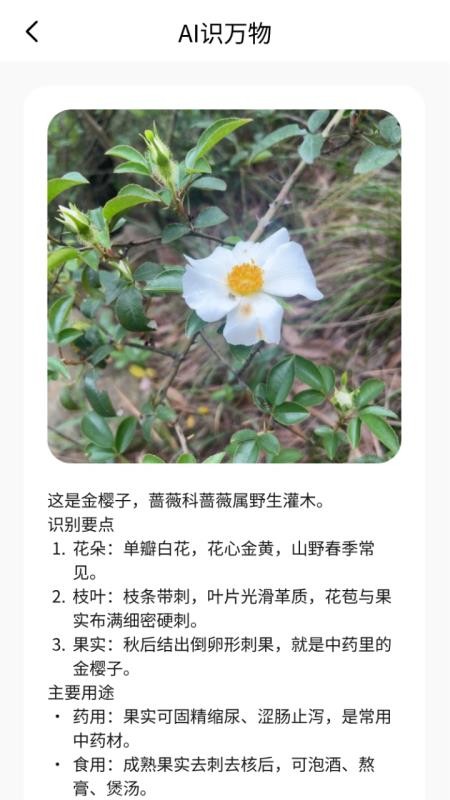 掌心扫描宝手机版v1.1.0(4)