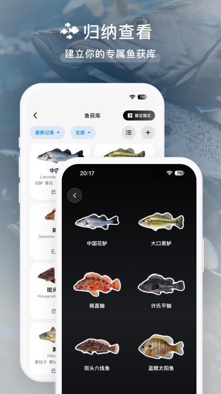 渔伴官方版v2.0.0截图4