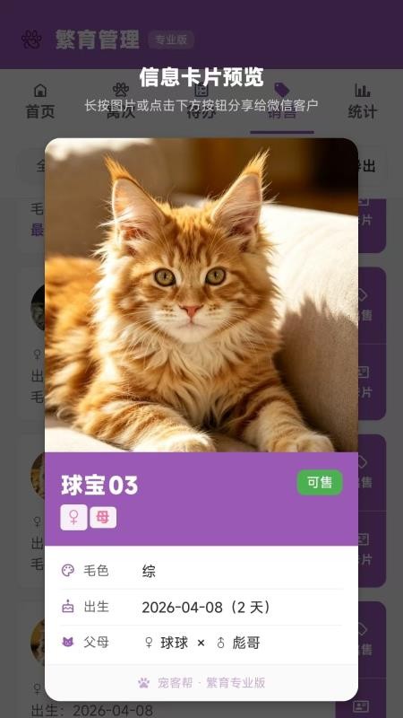 宠客帮官方版v1.2.2截图5