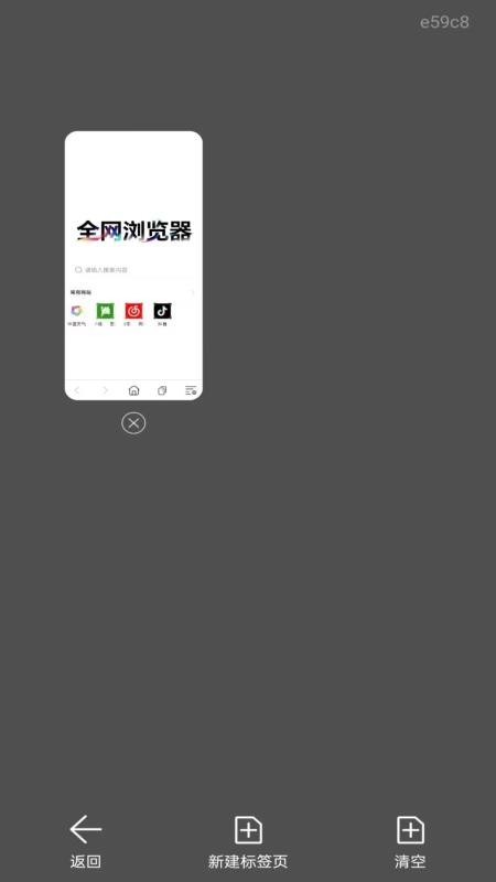 全网浏览器手机版v1.0.0截图3