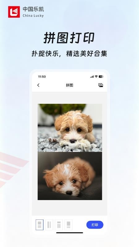 乐凯乐印官方版v1.0.1截图3