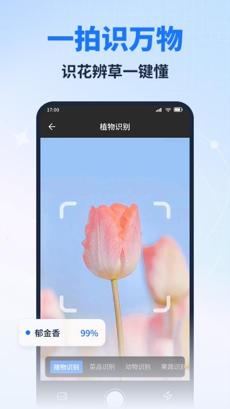AI检测扫描万能王免费版v1.0.0截图5
