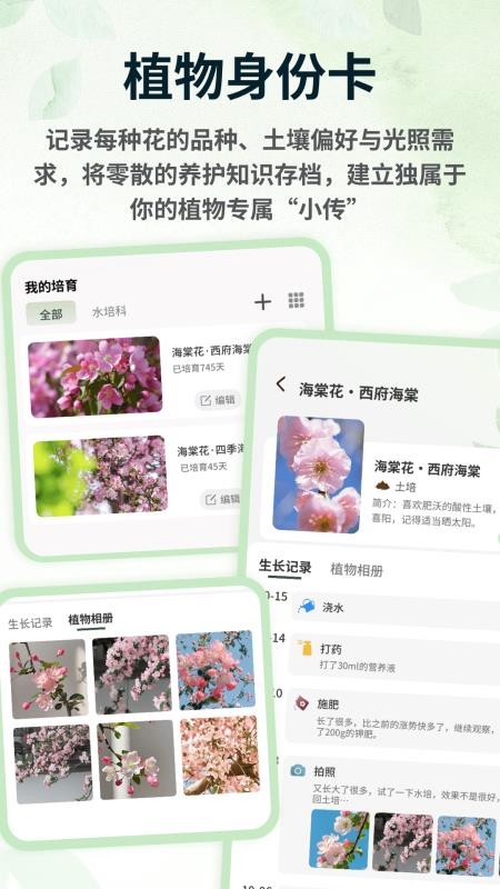 春色满园子免费版v1.0.4(4)