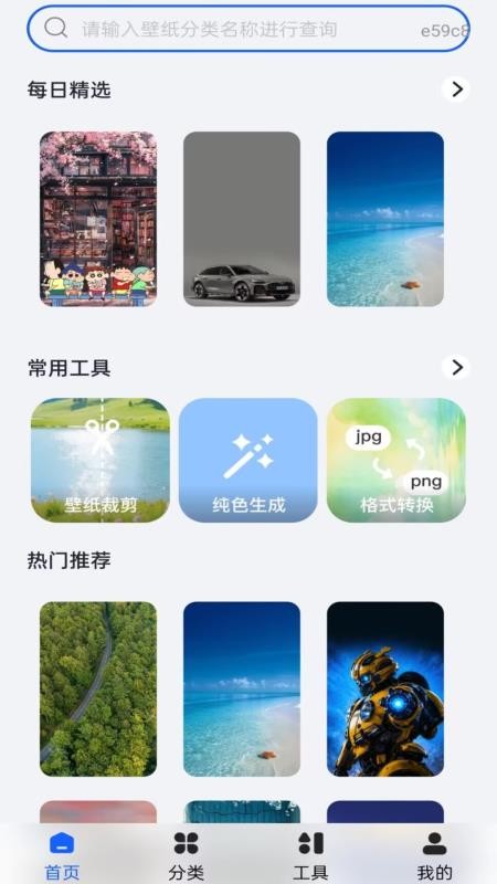 免费动态主题壁纸手机版