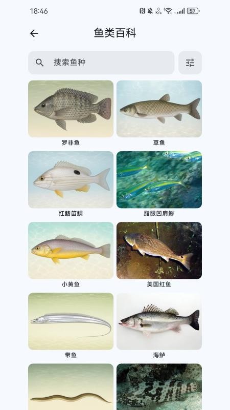 渔在哪手机版v1.4.1(3)