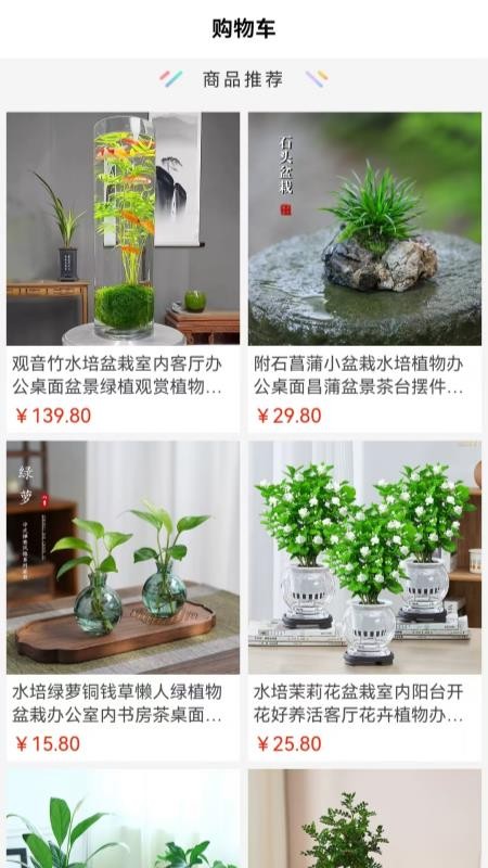 纯粹心官方版v1.1.0(3)